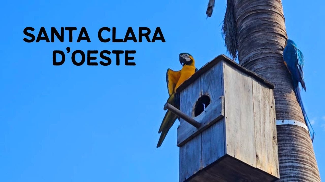 Santa Clara D'oeste SP - Passeio da Rota 408 pela cidade de Santa Clara D'oeste - 11° Temp - Ep 26