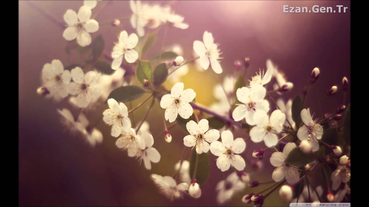 Ebubekir ATALAY Suzinak Makamında Ezan