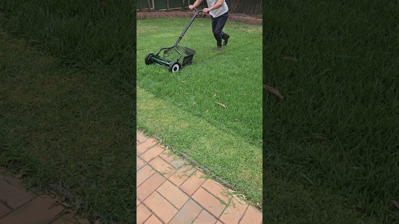 Manual push reel mower #gardening #reel mowing