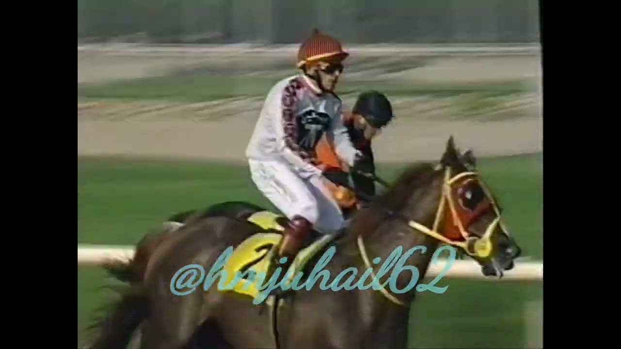 سباقات الاجتماع 3 للموسم 2008- 2009