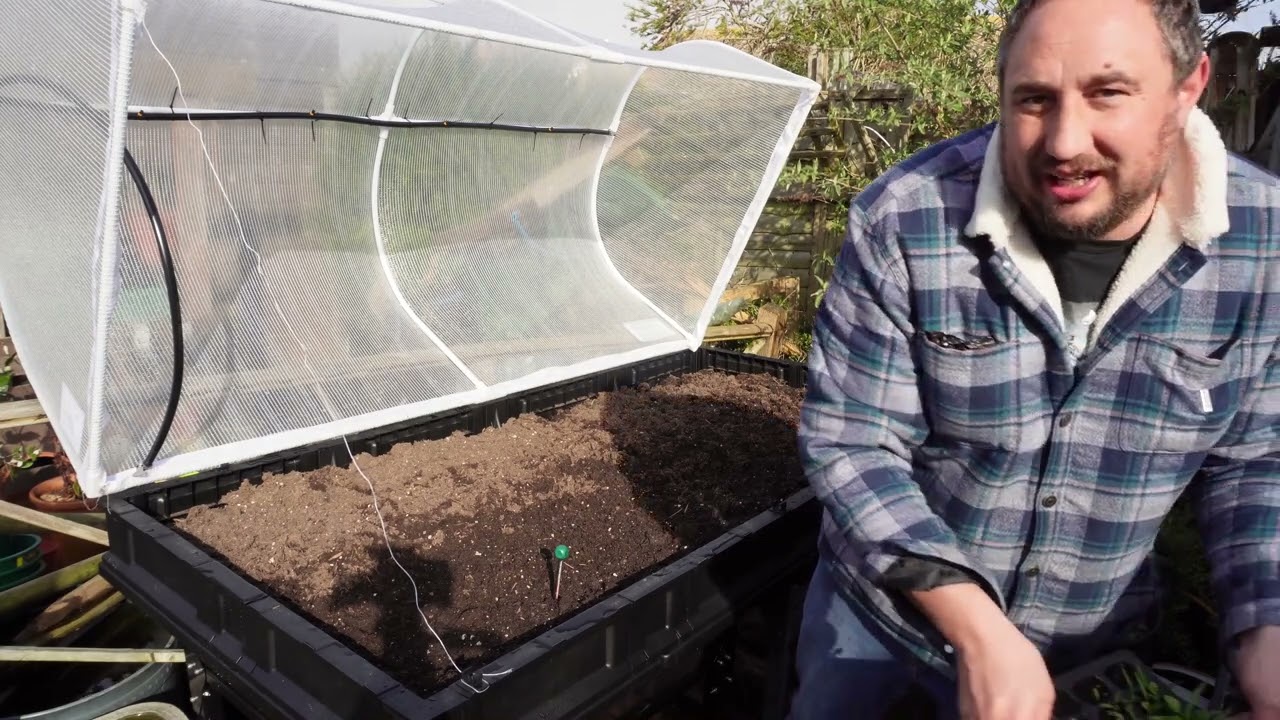 Planting Seeds and Plants in my Vegepod Garden | Spring Garden Update