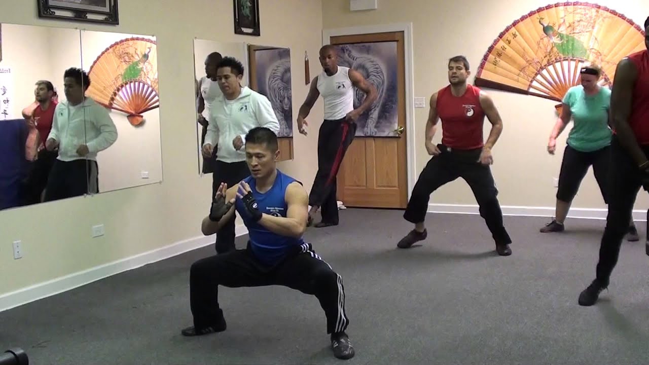 Total Body Training for Zen Martial Arts #1 of 2: Cardio, Strength, & Flexibility