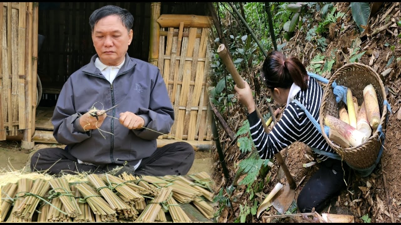 Harvesting bamboo shoots ,Making bamboo toothpicks , The life of a father,daughter with disabilities
