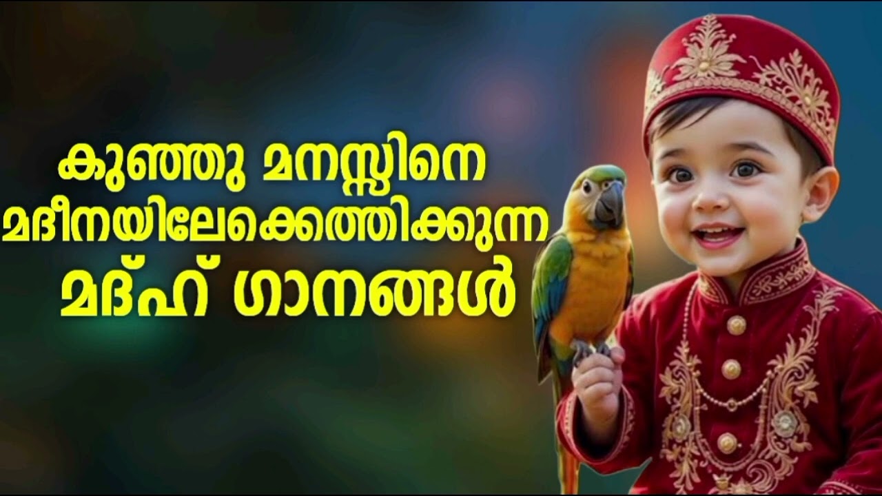 കുട്ടികളെ ആനന്ദത്തിലാക്കുന്ന മദ്ഹ് ഗാനങ്ങൾ New Madh Song Selected Madh Nonstop Madh Songs 2026
