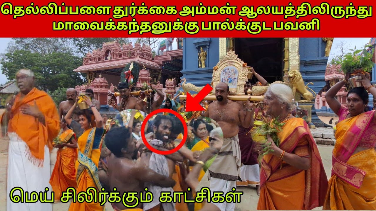 தெல்லிப்பளை துர்க்கை அம்மன் ஆலயத்திலிருந்து மாவைக்கந்தன் ஆலயத்திற்கு தைப்பூச பால்க்குட பவனி 🙏