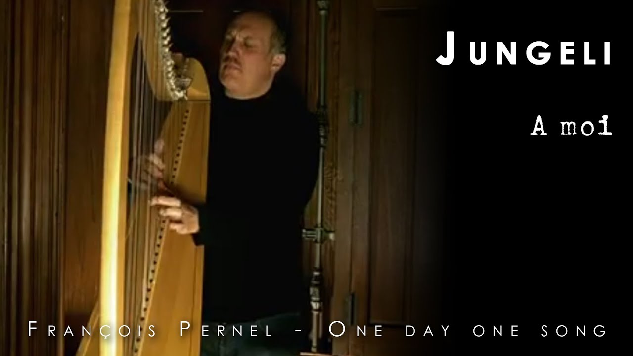 Day 508 / A moi // Jungeli /// harp cover