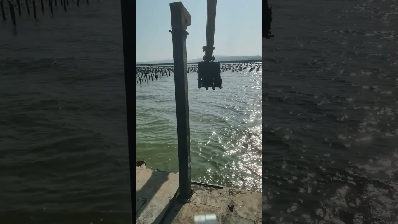 Dredger Sailing Process#dredger #dredgersailing #dredging #dredgepump #dredgerpipe