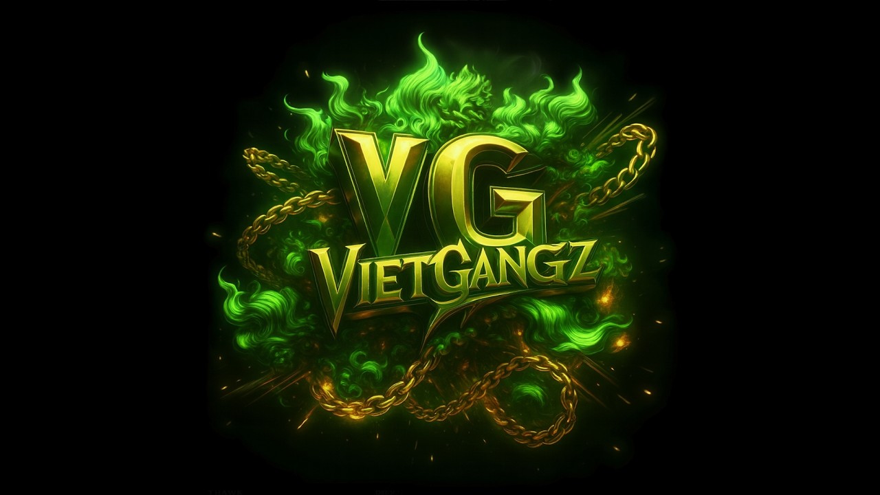 Newbie - VG