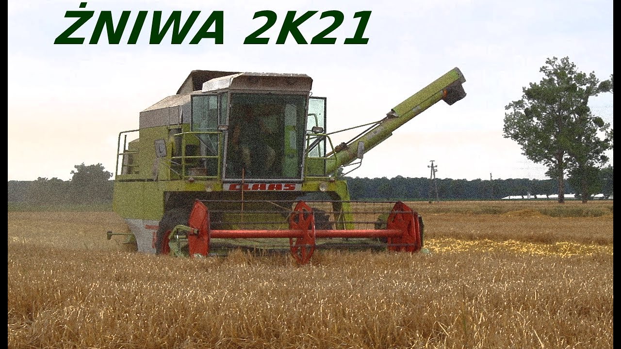 Żniwa Jęczmienia 2021 // Claas Dominator 66 & Zetor 11441 + Metaltech DB 12000 // Lato 2021
