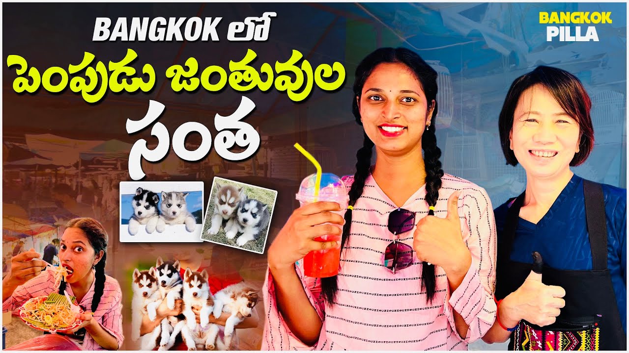 బ్యాంకాక్ పెంపుడు జంతువుల సంత.. || Pet Market in Bangkok || Bangkok Pilla