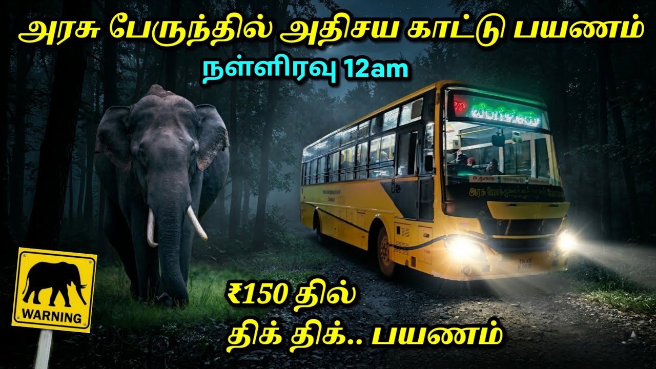 மிரளவைக்கும் பயணம் Thrill Midnight Forest Ride in TNSTC!!Ooty to Bangalore Tnstc Bus Travel!!