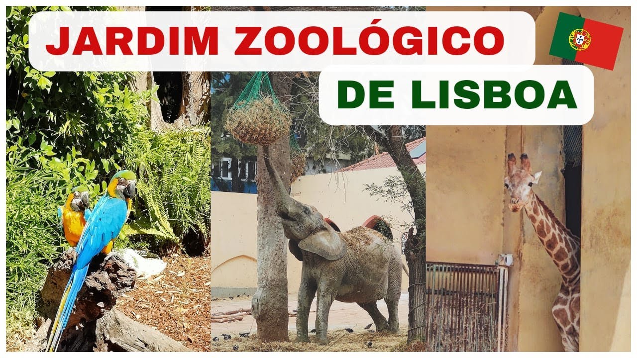 Conhecendo o Jardim Zoologico de Lisboa Portugal