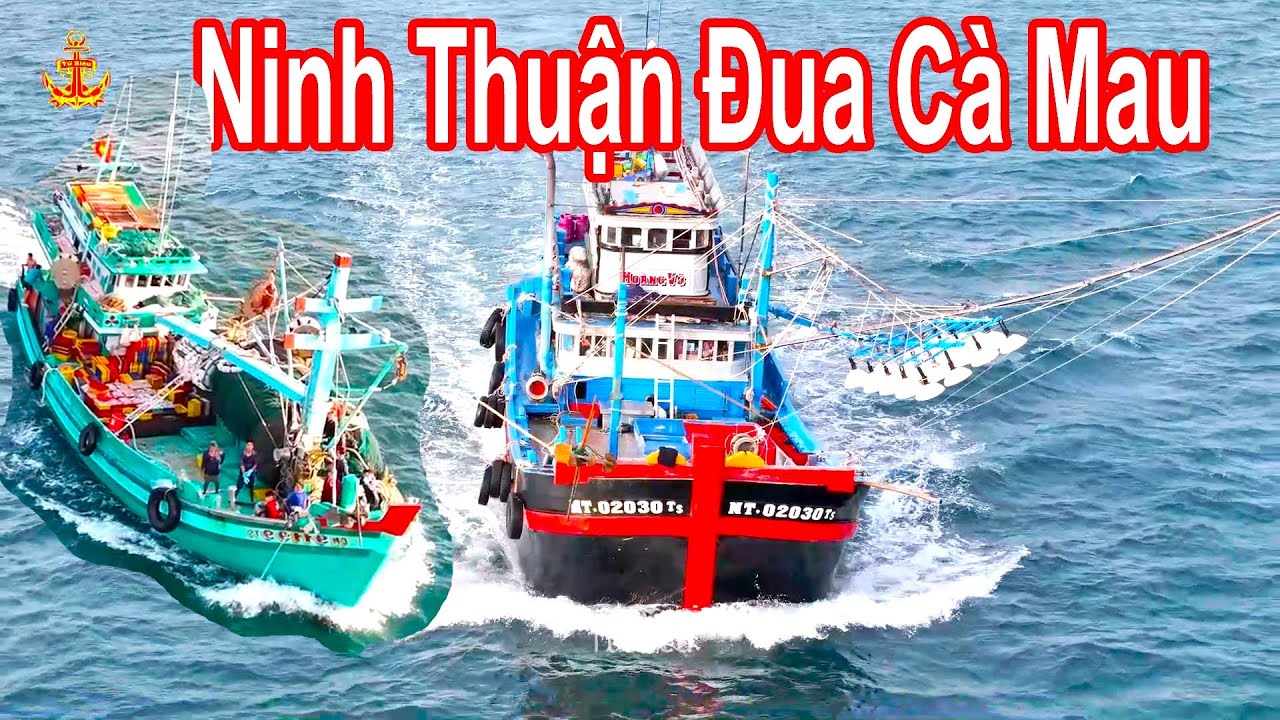 Tàu Đánh Cá Ninh Thuận Và Cà Mau Thích Vào Phú Quốc Bán Cá - Nghĩ Ngơi