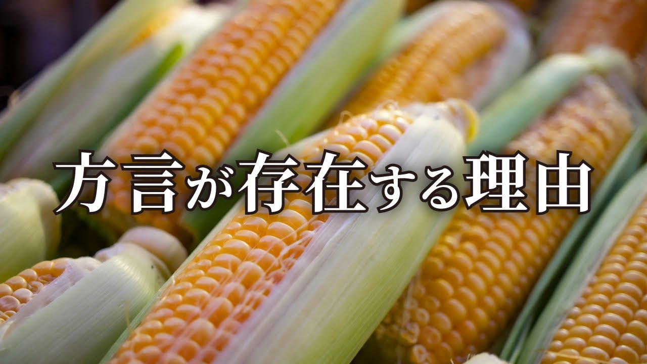 方言はなぜ存在するのか？トウモロコシで謎を解く。【言語地理学1】#311