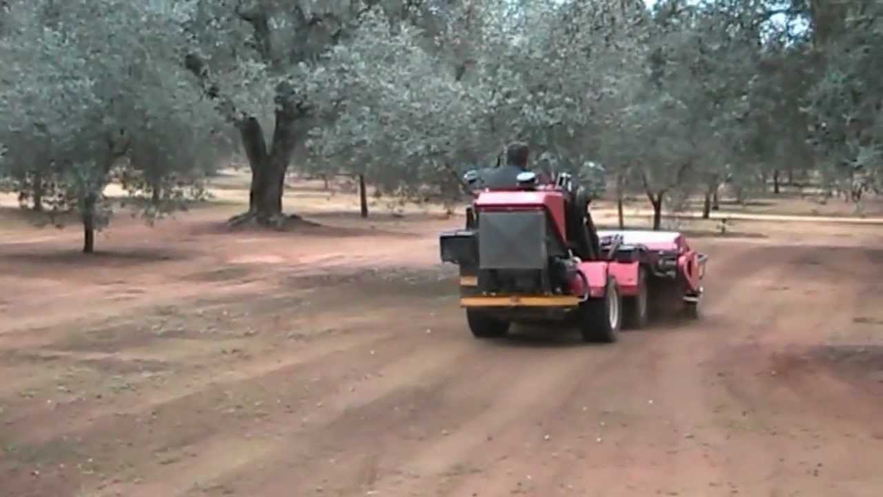 BARREDORA DE ACEITUNAS BOSCO F 802