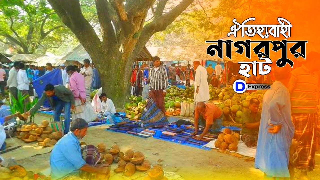Nagarpur Haat | গ্রামের ঐতিহ্যবাহী নাগরপুর হাট | Village Market | Nagorpur, Tangail | D Express