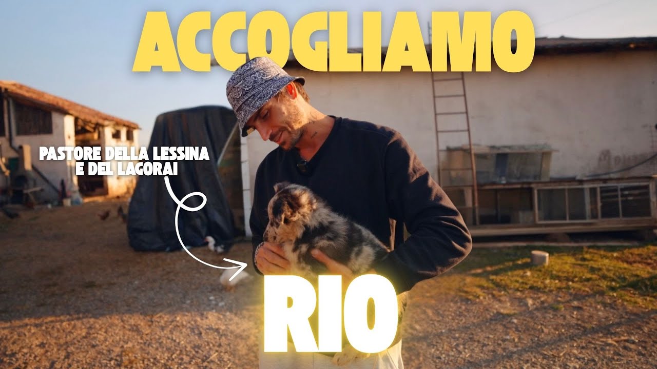 RITIRO DI RIO