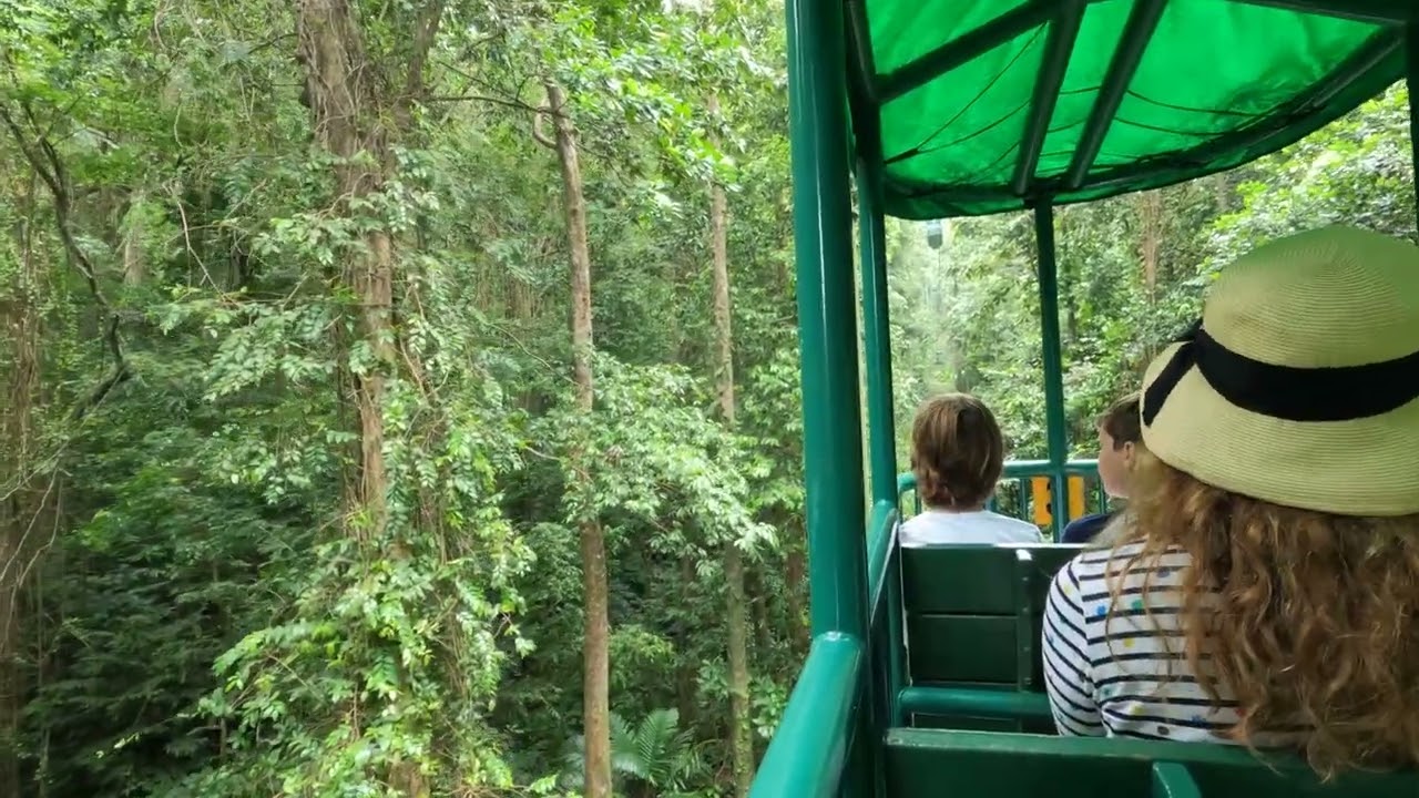 Rainforest Adventures Aerial Tram Tour, St. Lucia