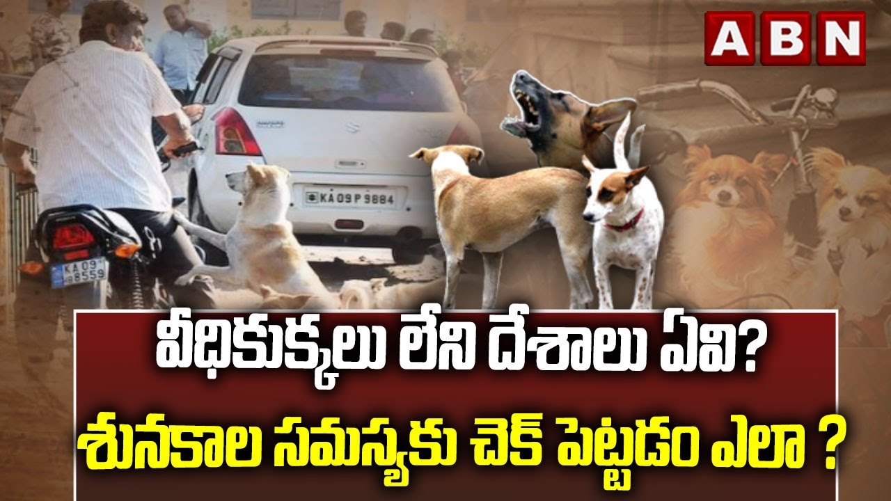 వీధికుక్కలు లేని దేశాలు ఏవి? శునకాల సమస్యకు చెక్‌ పెట్టడం ఎలా ? | Street Dongs | Supreme Court | ABN