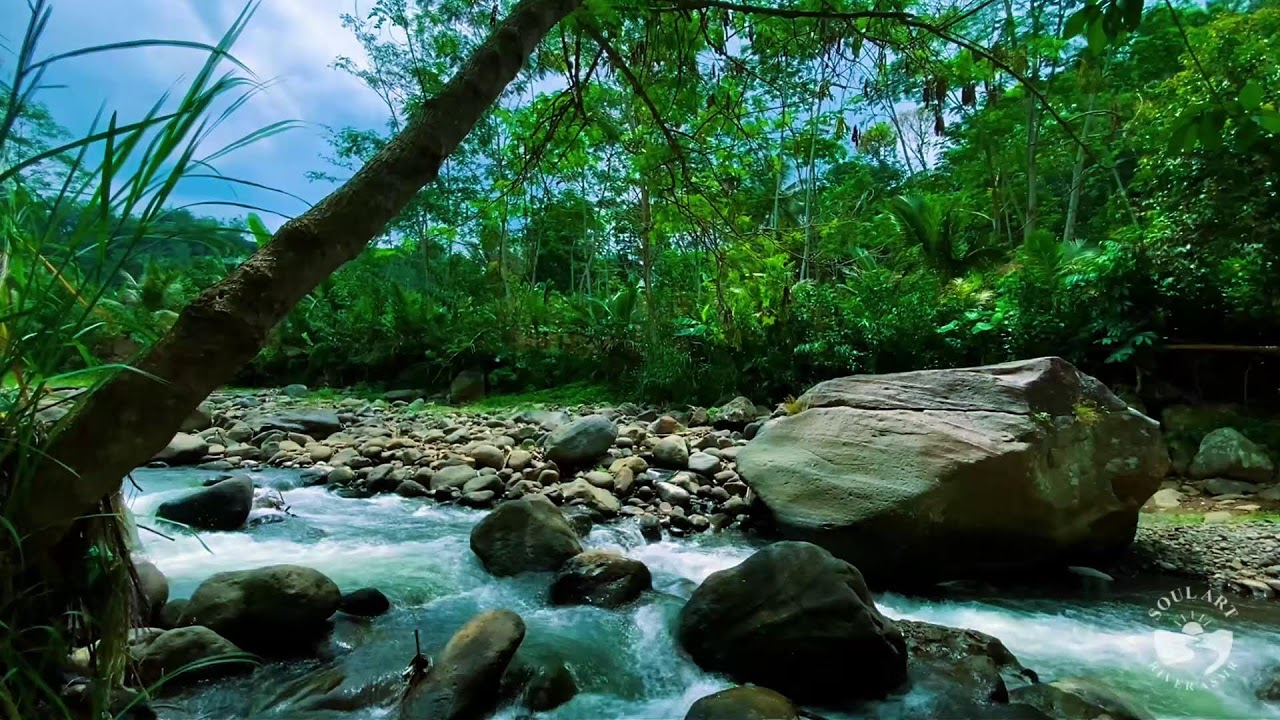 River Sounds & waterfall Sounds for Sleeping | Nature Stream for Relaxing & Stress Relief. #river 3