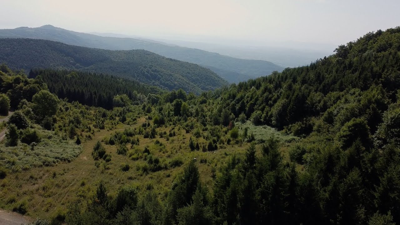 Козарачко срце - Документарни филм