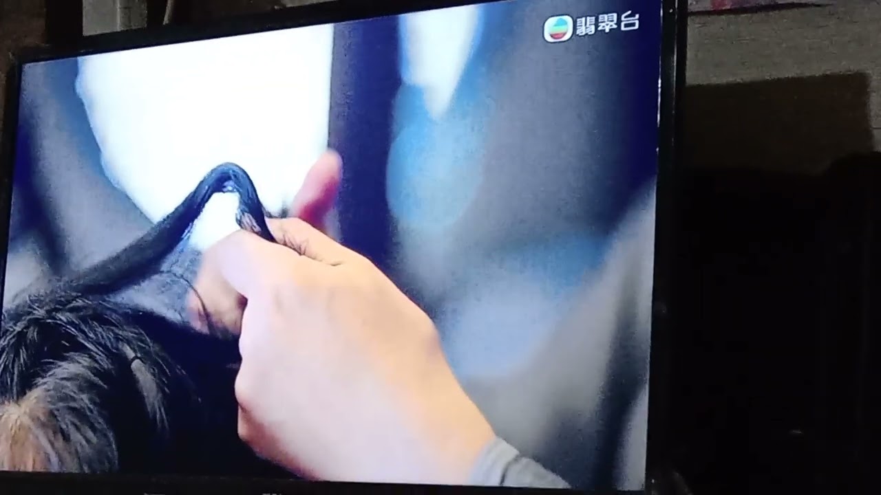 劇情中剃頭的尼姑？