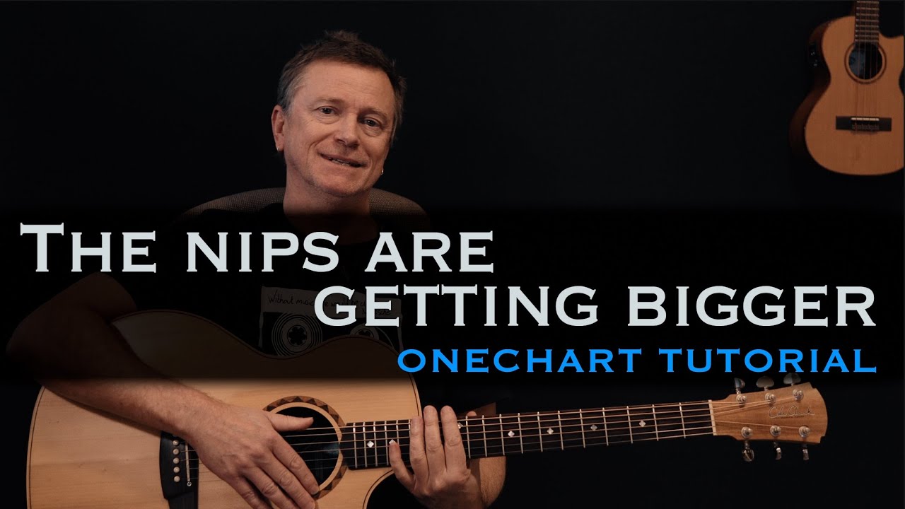 The nips are getting bigger Mental As Anything guitar lesson tutorial [free tab]