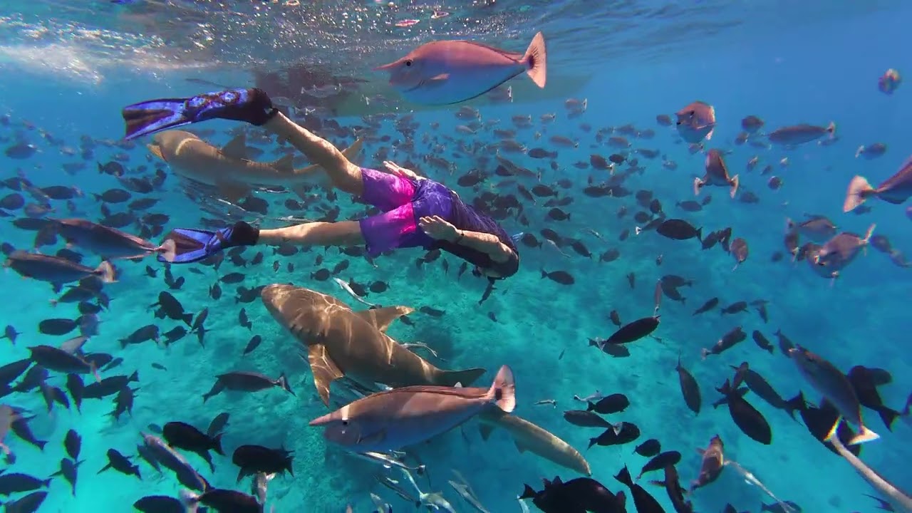 MALDIVES SNORKELLING 2025