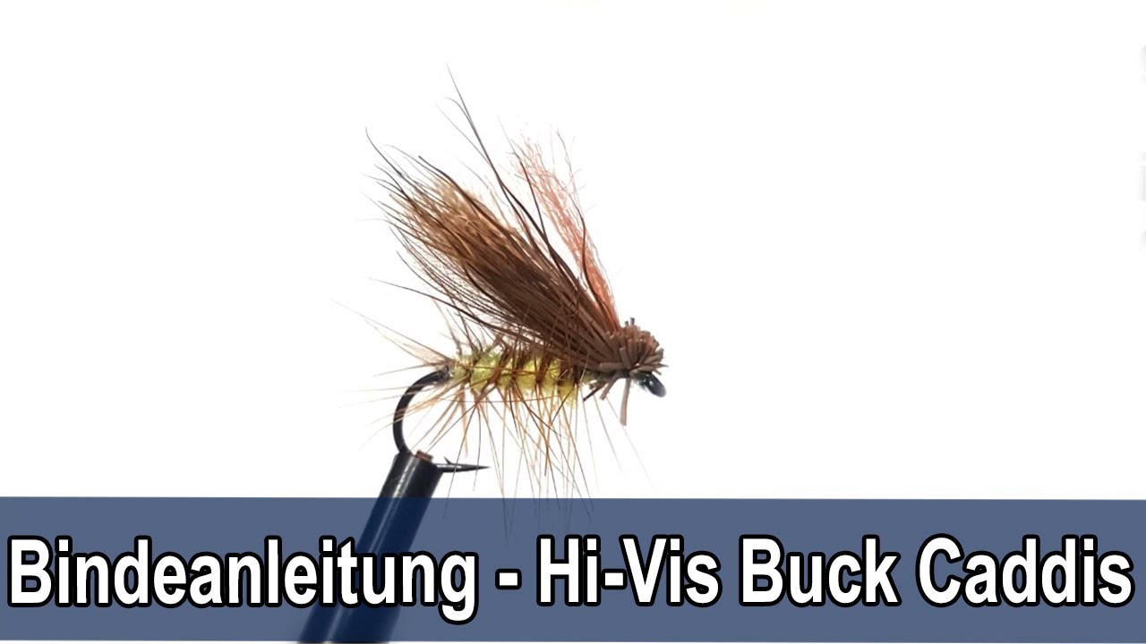 Fliegenbinden / Bindeanleitung Hi-Vis CdC Buck  Caddis Trockenfliege