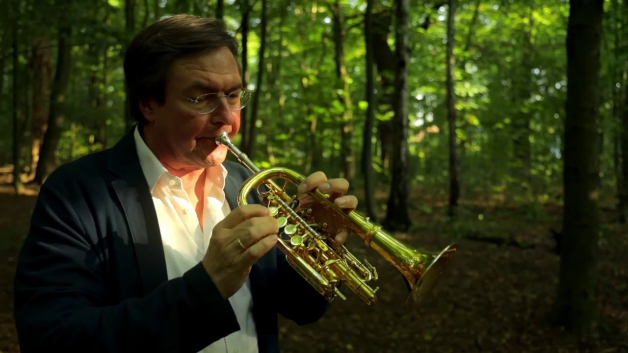 Matthias Höfs. »Rettet das Wandsbeker Gehölz«