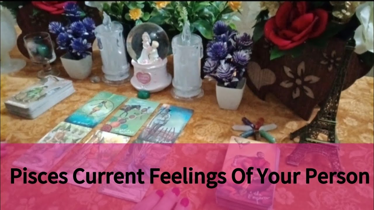 |Pisces|Current Feelings Of Your Person|Timeless Tarot Reading Hindi Urdu//