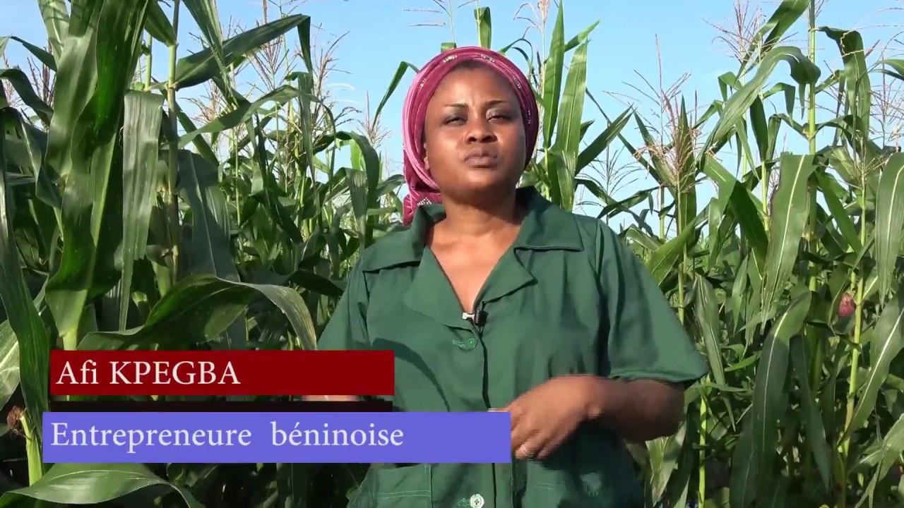 REPORTAGE   LA FERME ISSO HANA DU BENIN ; UN  MODELE DE DEVELOPPEMENT COMMUNAUTAIRE PAD