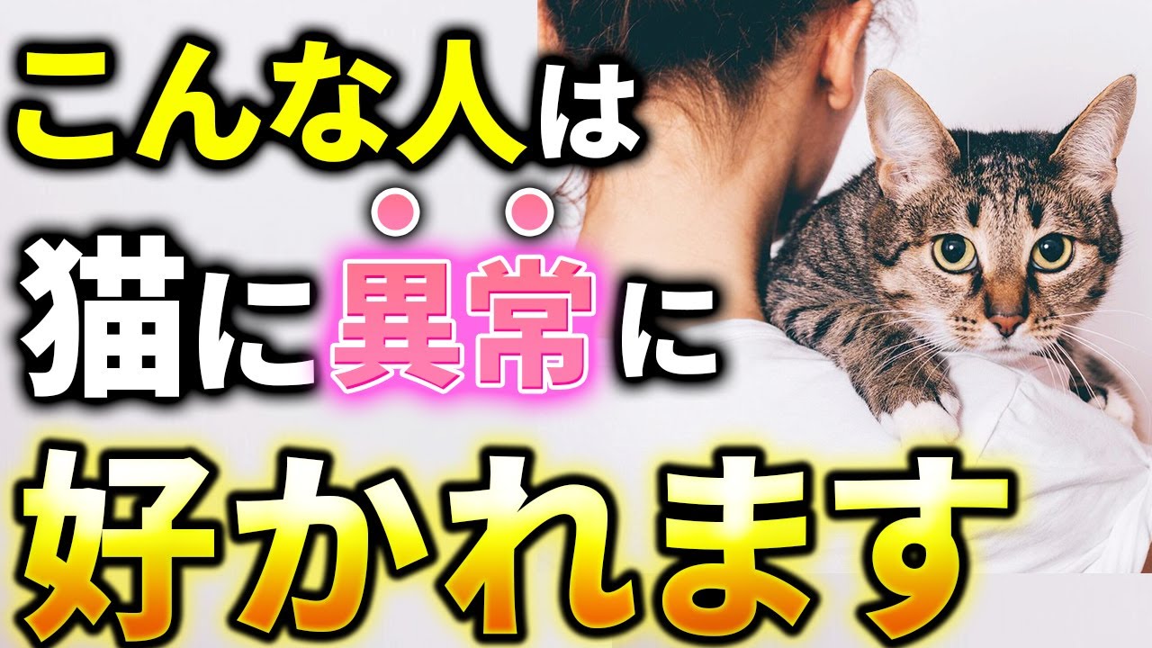 【猫好きな人ほど嫌われる!?】猫に異常に好かれる人の特徴７選！