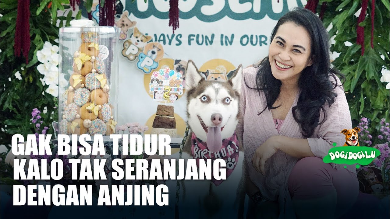 PUNYA ANJING SUSAH MAKAN | MAMINYA SAMPAI HARUS MELAKUKAN INI