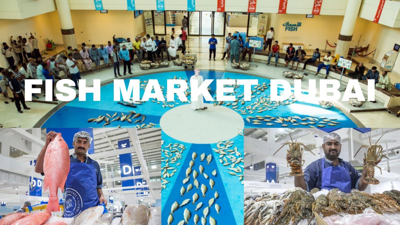 Fish Market Dubai | Waterfront Fish Market Dubai | سوق السمك دبي