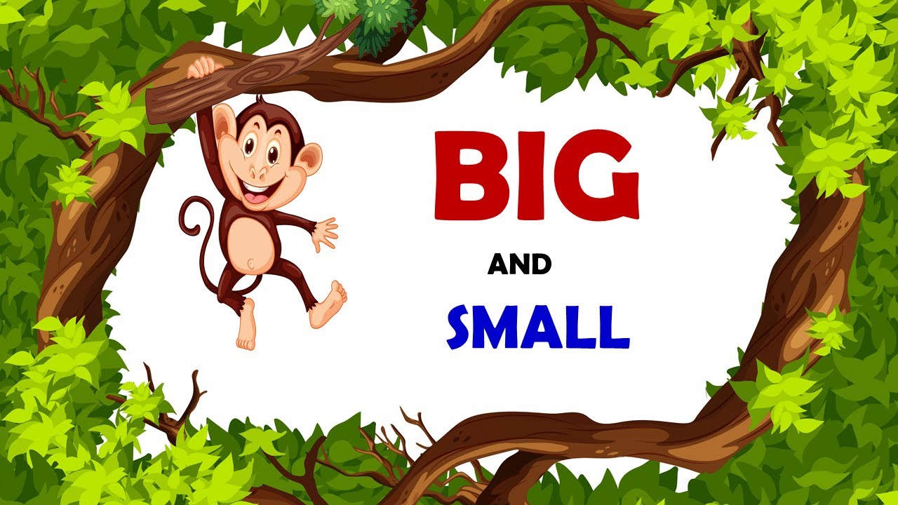 Big and Small | Comparison for Kids | Learn Pre-Number Concepts