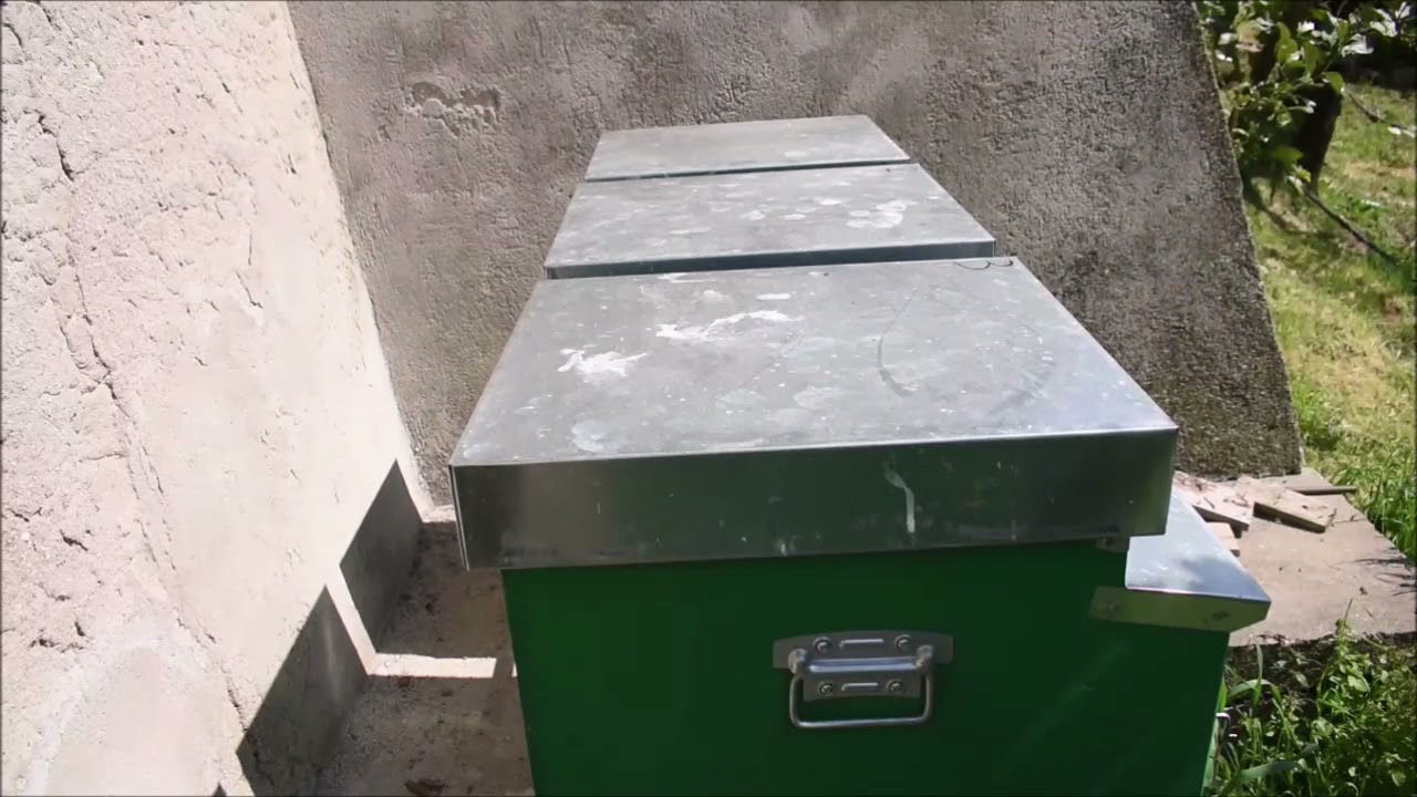 Posa dei melari Apicoltura 2021
