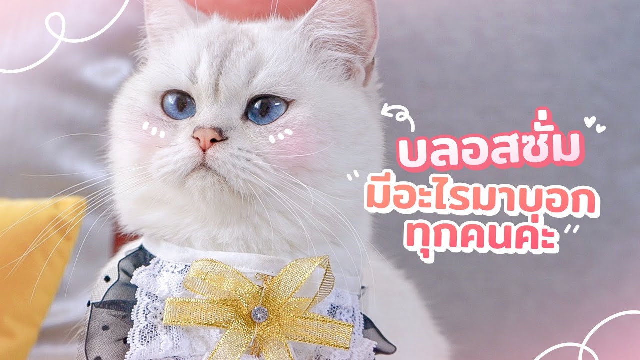 บลอสซั่มมีเรื่องจะมาเซอร์ไพรส์ทุกคนค่ะ