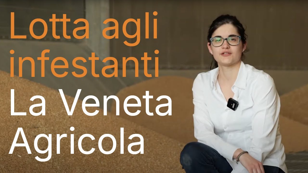 La Veneta Agricola e la lotta agli infestanti nella filiera cerealicola