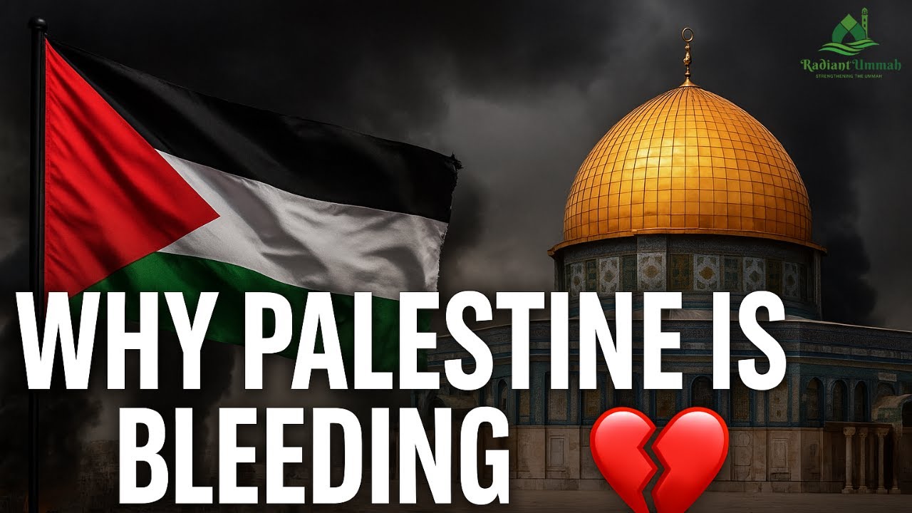 What&rsquo;s Happening in Palestine Islamic Perspective on the Crisis, Cause & End Result | Free Palestine
