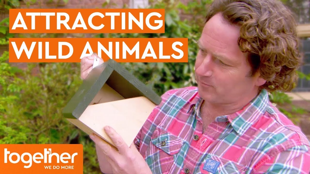 How to Attract Wild Life in Your Garden | Great British Garden Revival