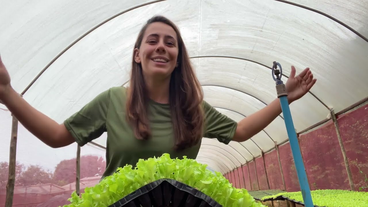5 ERROS MAIS COMUNS NA PRODUÇÃO DE MUDAS DE HORTALIÇAS