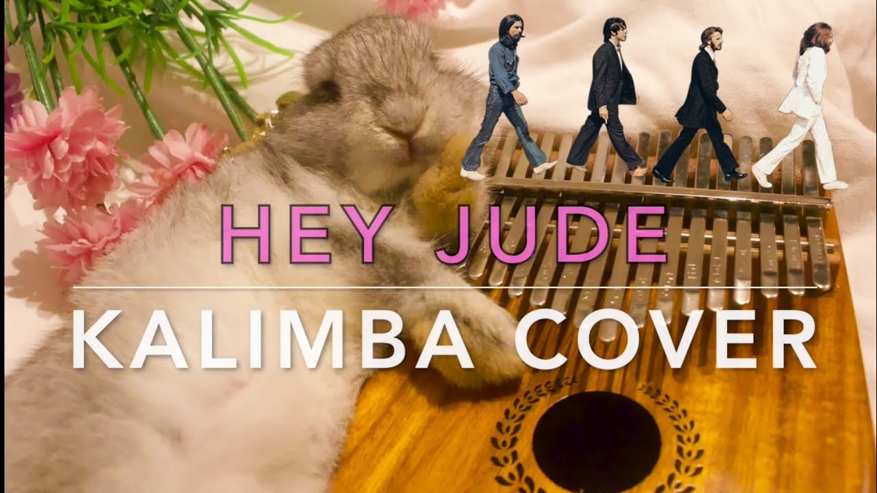 HEY JUDE - The Beatles | KALIMBA COVER WITH NUMBERED NOTATION TABS