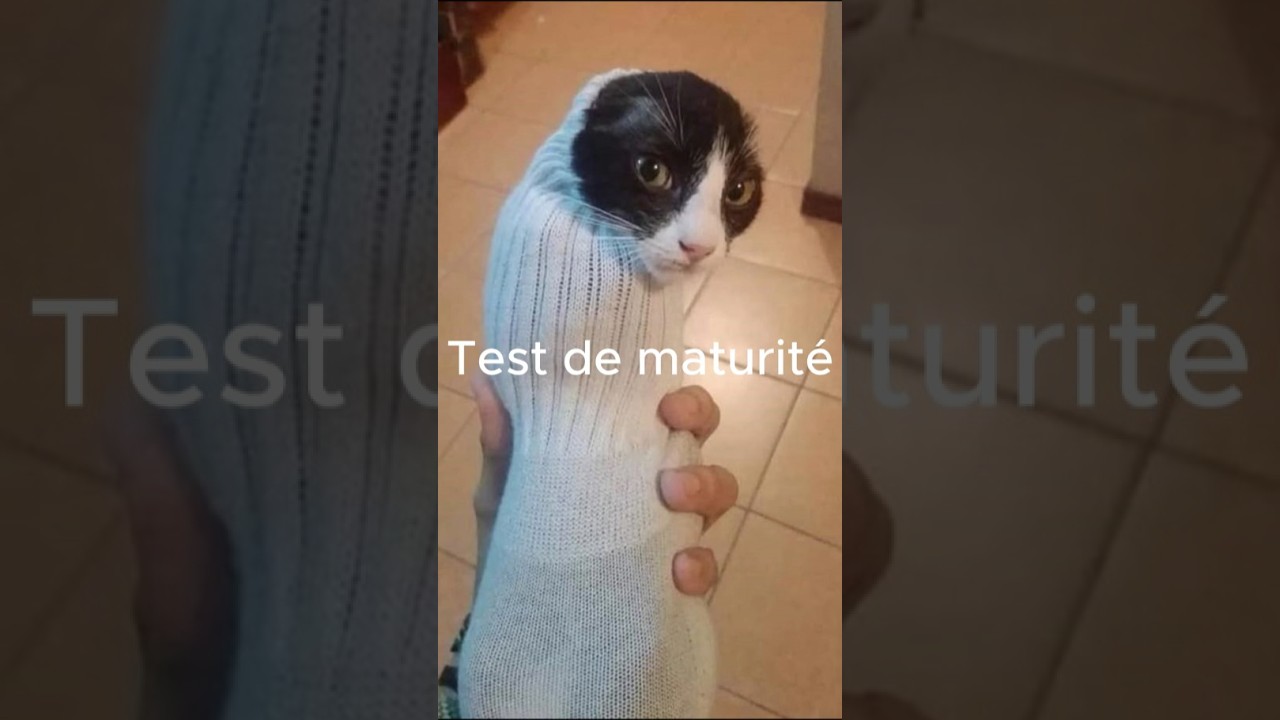 Test de maturit&eacute; 49