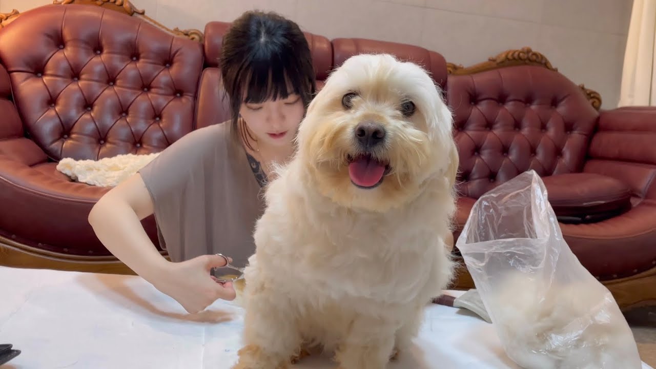 세상에서 가장 무해한 생명체가 여기 있다.