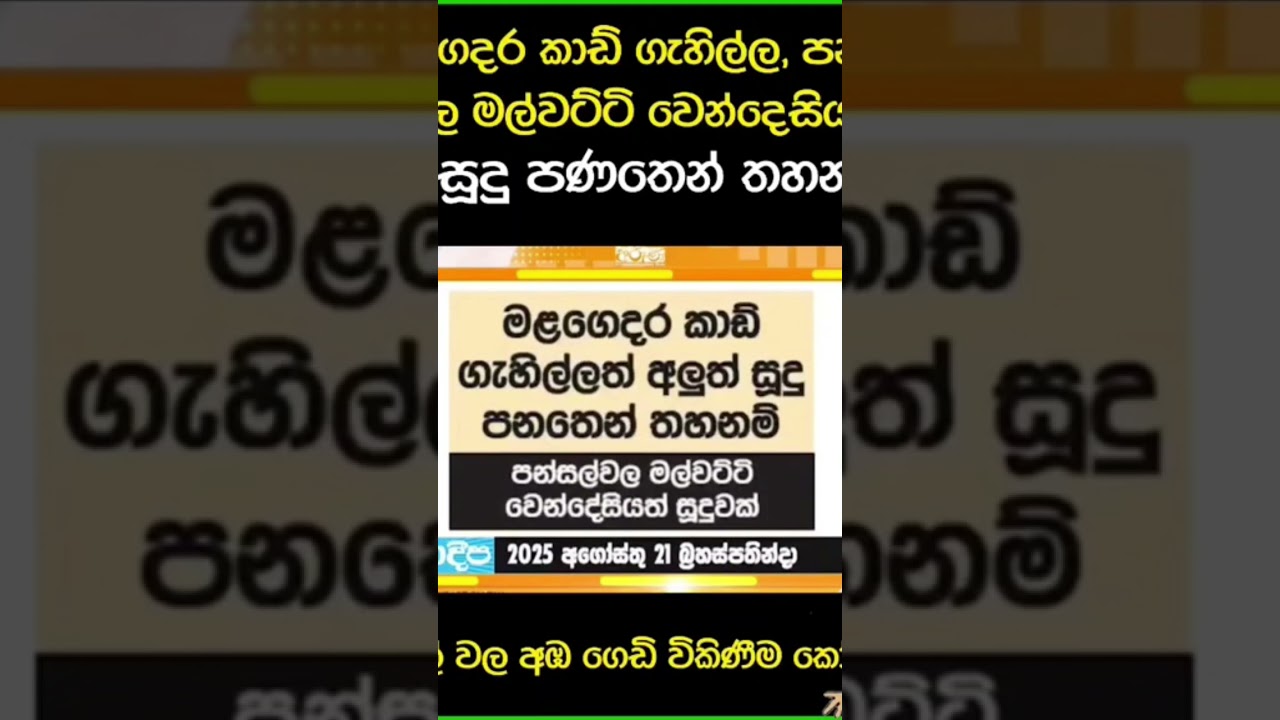 Chathura on fire 🔥  #comedy #politics #srilankanews #chathura #srilankapolitics