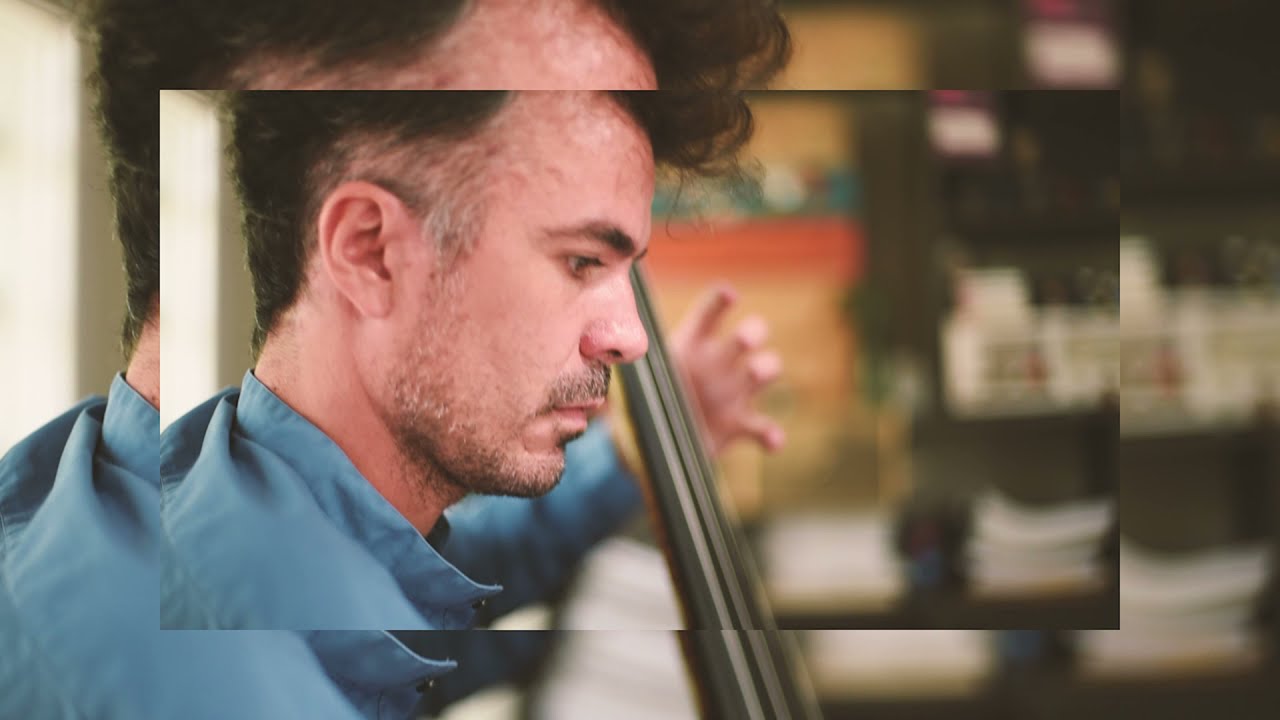 Big Fish - Formica/Schenone