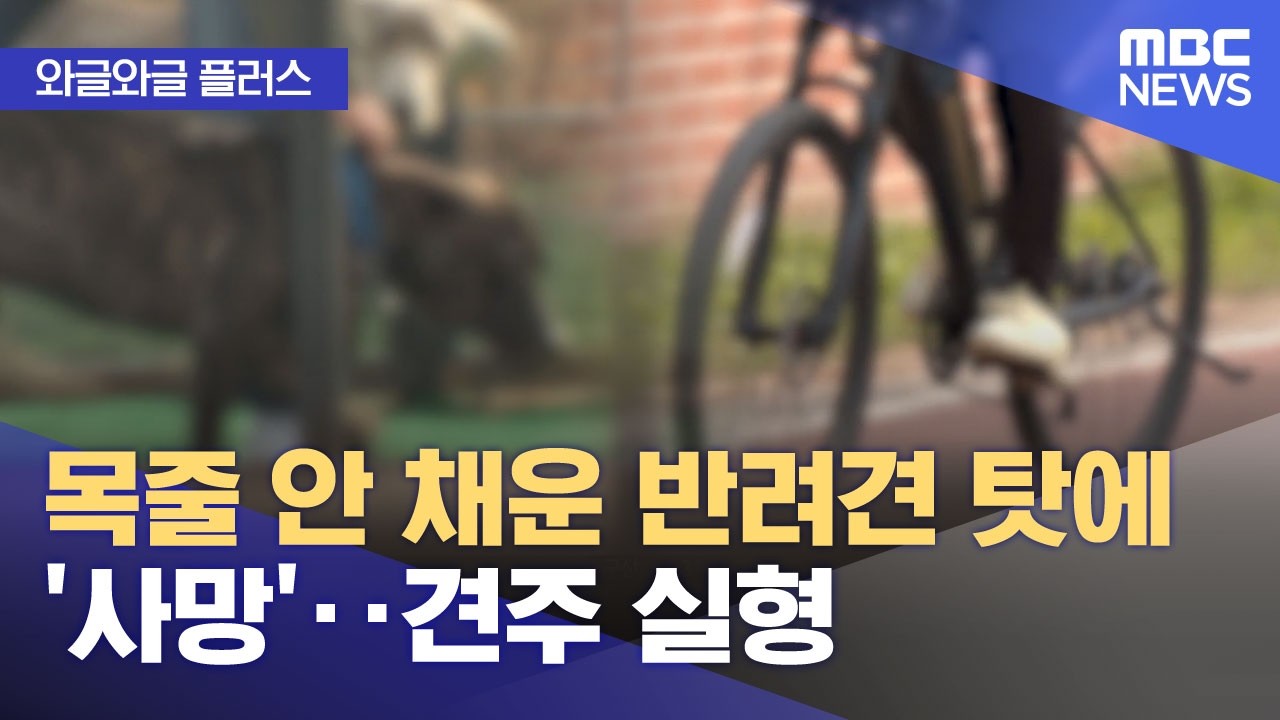 [와글와글 플러스] 목줄 안 채운 반려견 탓에 '사망'‥견주 실형 (2026.02.23/뉴스투데이/MBC)