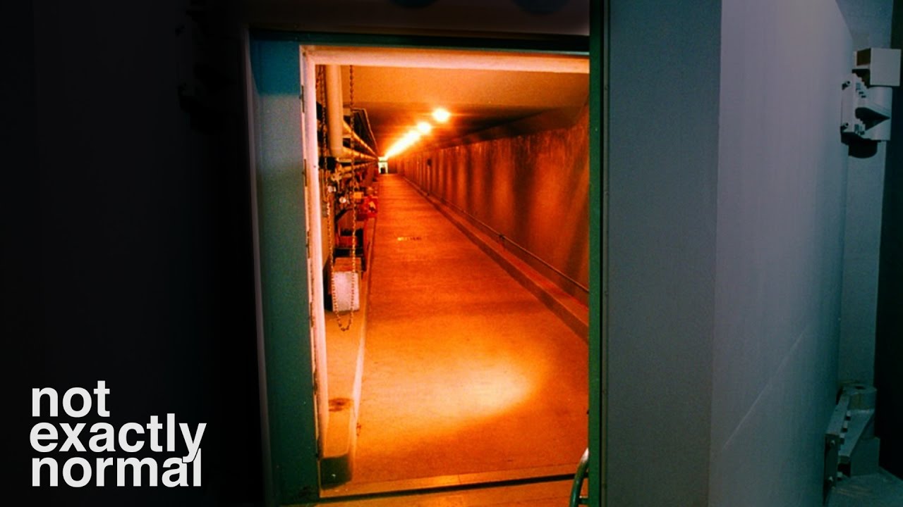 The REAL Vaults of Fallout (Feat. This Exists)