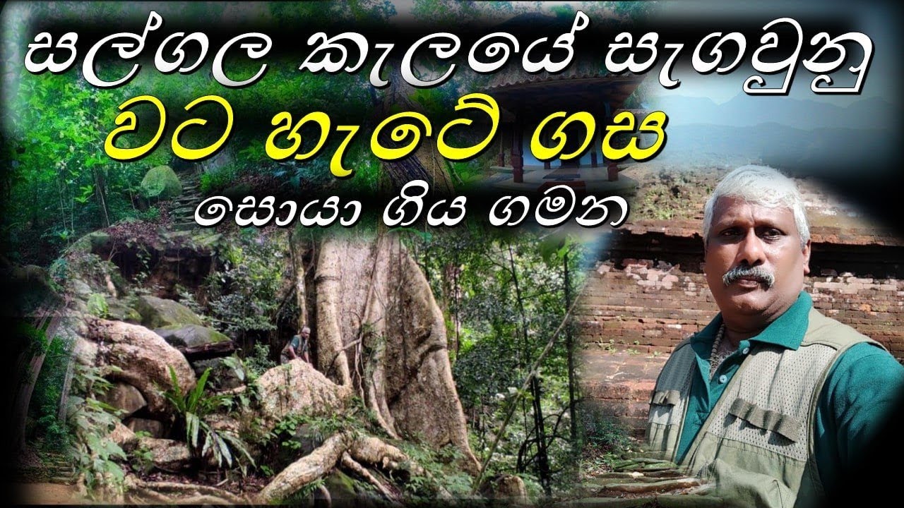 සල්ගල කැලයේ වට හැට ගස සොයා යාම